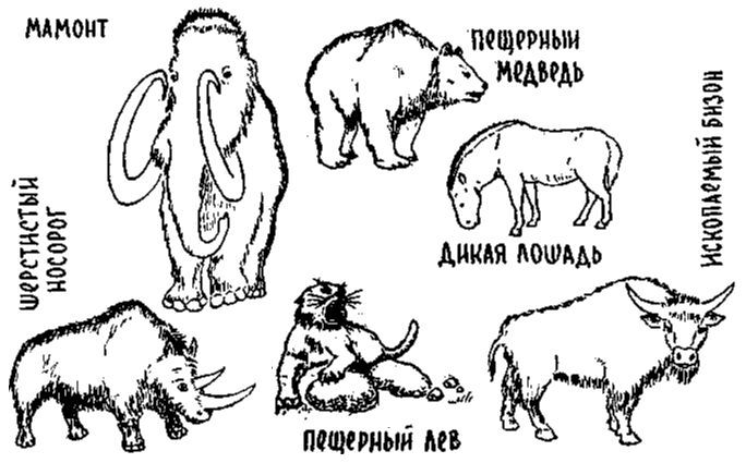 Путешествие по берегам морей, которых никто никогда не видел i_152.jpg