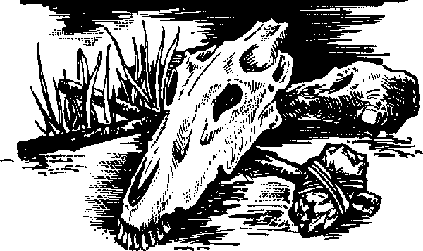 Это было в каменном веке (сборник) image_011.png
