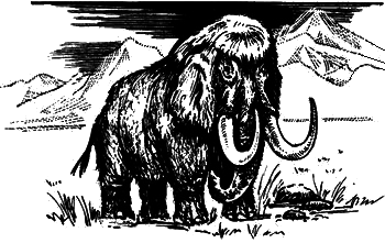 Это было в каменном веке (сборник) image_013.png