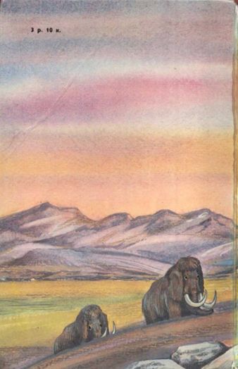Это было в каменном веке (сборник) back.jpg