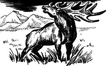 Это было в каменном веке (сборник) image_009.png