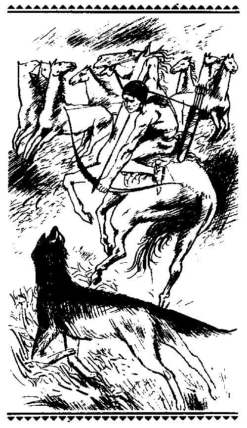 Сыновья Большой Медведицы. Книга 1 pic_1.png