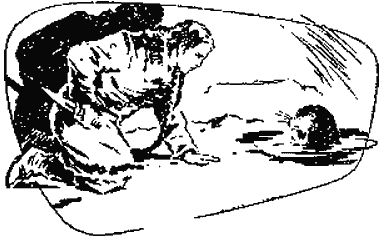 Гости из космоса (повести и рассказы) i_010.png