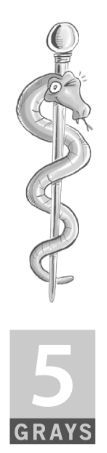 Dude, Where's my Stethoscope? _1.jpg