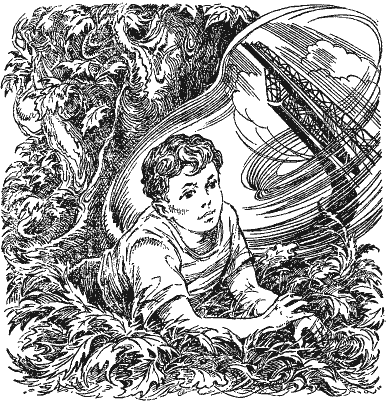 Собрание сочинений в девяти томах. Том 6. Пылающий остров i_013.png