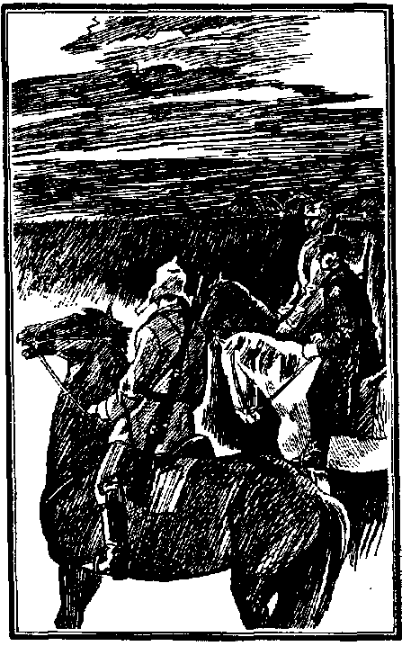 Старая крепость. Книга 2 pic_1.png