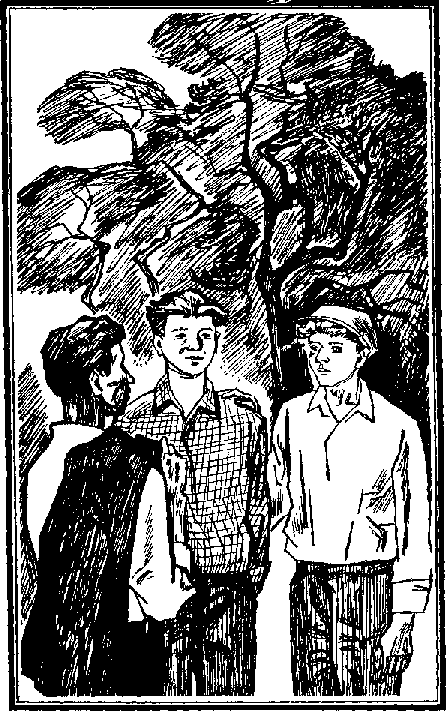 Старая крепость. Книга 3 pic_7.png
