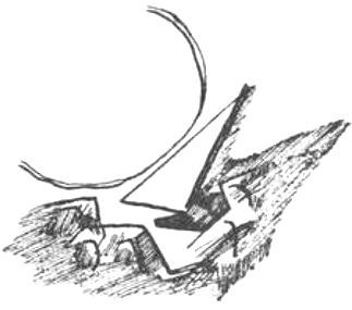 Лира лир i_002.jpg