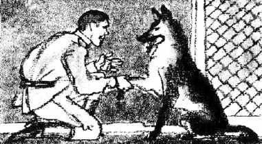 Жили-были солдаты (сборник) i_039.jpg