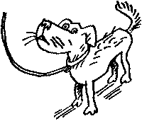 Мы для нас pic22.png