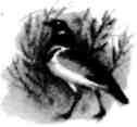 Вниз по Уралу (сборник) img_16.jpeg