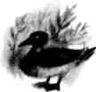 Вниз по Уралу (сборник) img_19.jpeg