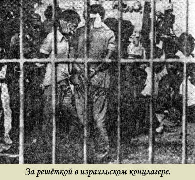 Под маской объективности i_029.jpg