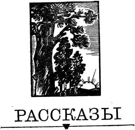 Избранное img_5.jpg