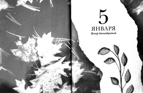 Зеленая Роза или Двенадцать вечеров i_082.jpg