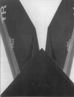 F-117 Nighthawk pic_203.jpg
