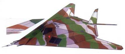 F-117 Nighthawk pic_210.jpg
