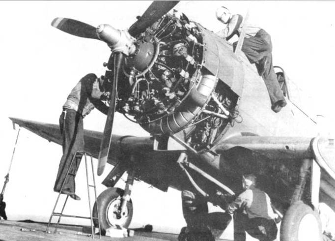 SBD «Dauntless» pic_138.jpg