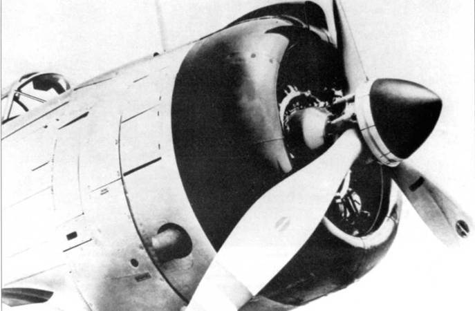 SBD «Dauntless» pic_26.jpg
