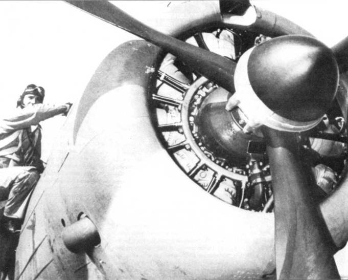 SBD «Dauntless» pic_32.jpg