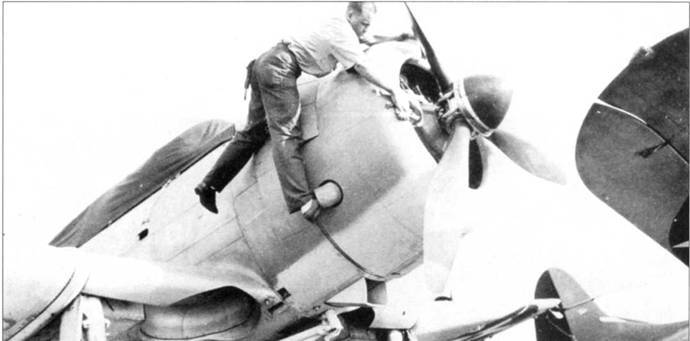 SBD «Dauntless» pic_43.jpg