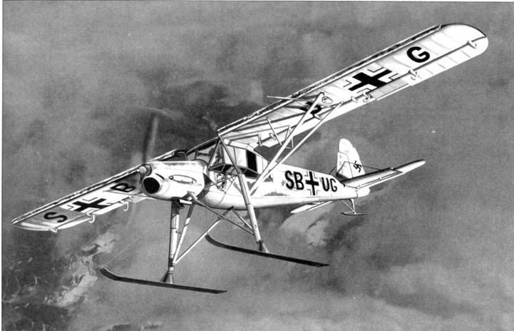 Fieseler Storch pic_1.jpg