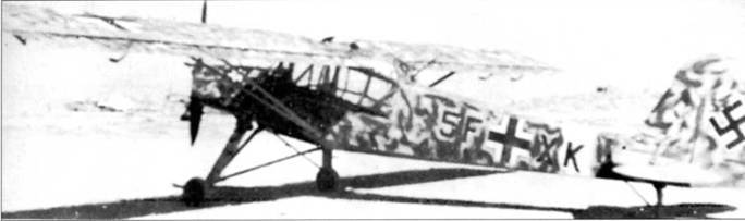 Fieseler Storch pic_82.jpg