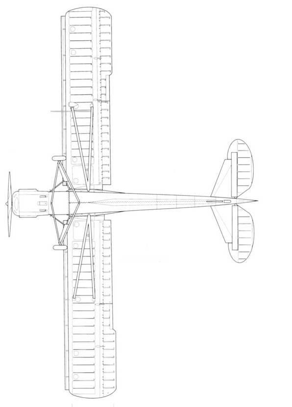 Fieseler Storch pic_88.jpg
