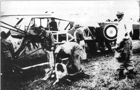 Fieseler Storch pic_164.jpg