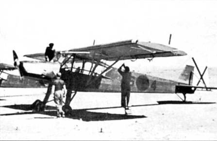 Fieseler Storch pic_15.jpg
