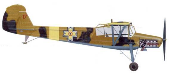 Fieseler Storch pic_182.jpg