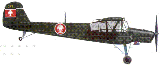 Fieseler Storch pic_187.png