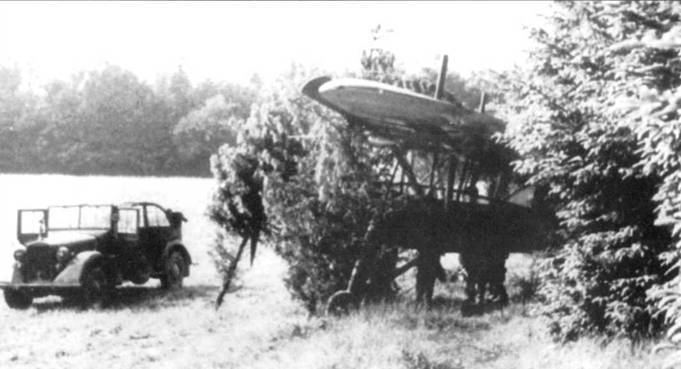 Fieseler Storch pic_29.jpg