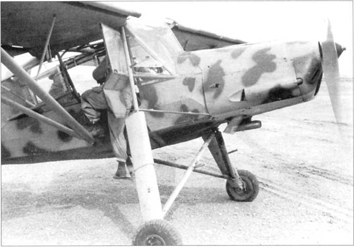Fieseler Storch pic_76.jpg