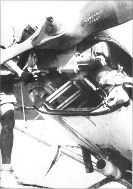 Fieseler Storch pic_77.jpg