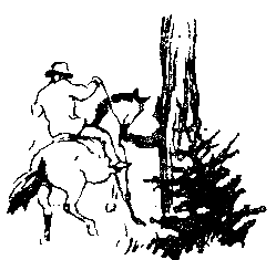 Снежный человек (илл. И. Архипова) pic_3.png