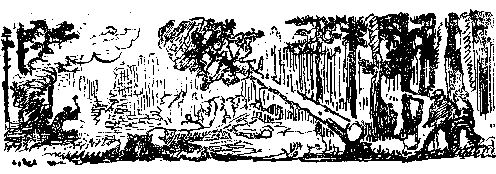 Снежный человек (илл. И. Архипова) pic_28.png