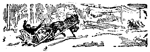Снежный человек (илл. И. Архипова) pic_37.png