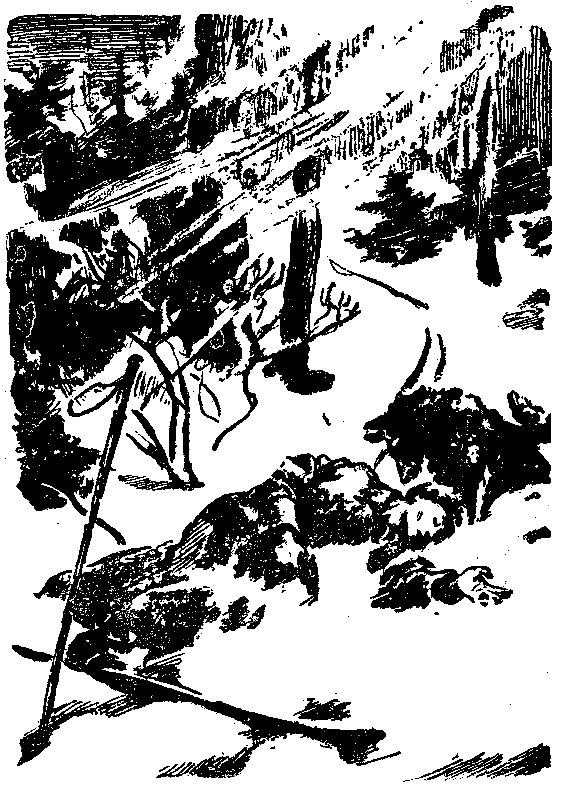 Снежный человек (илл. И. Архипова) pic_44.png