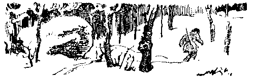 Снежный человек (илл. И. Архипова) pic_46.png