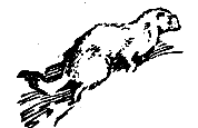 Снежный человек (илл. И. Архипова) pic_48.png