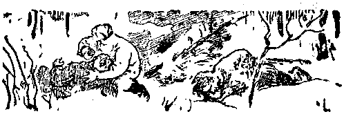 Снежный человек (илл. И. Архипова) pic_49.png