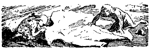 Снежный человек (илл. И. Архипова) pic_53.png