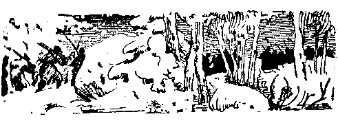 Снежный человек (илл. И. Архипова) pic_5.png