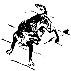 Снежный человек (илл. И. Архипова) pic_60.png