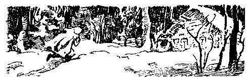 Снежный человек (илл. И. Архипова) pic_62.png