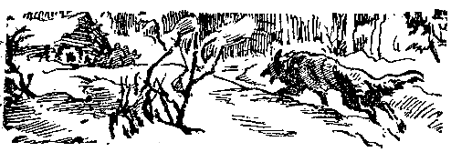 Снежный человек (илл. И. Архипова) pic_71.png