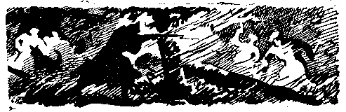 Снежный человек (илл. И. Архипова) pic_11.png