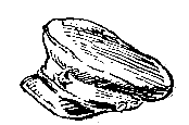 Снежный человек (илл. И. Архипова) pic_7.png