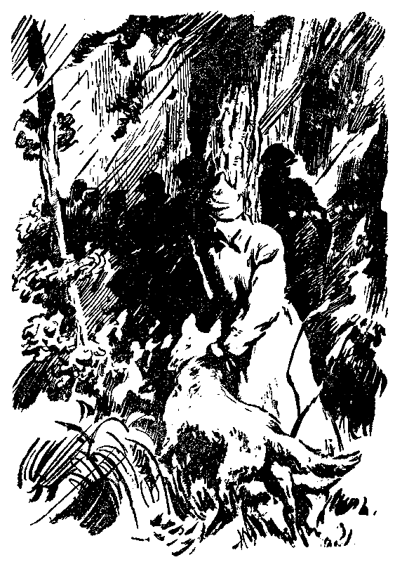 Снежный человек (илл. И. Архипова) pic_12.png